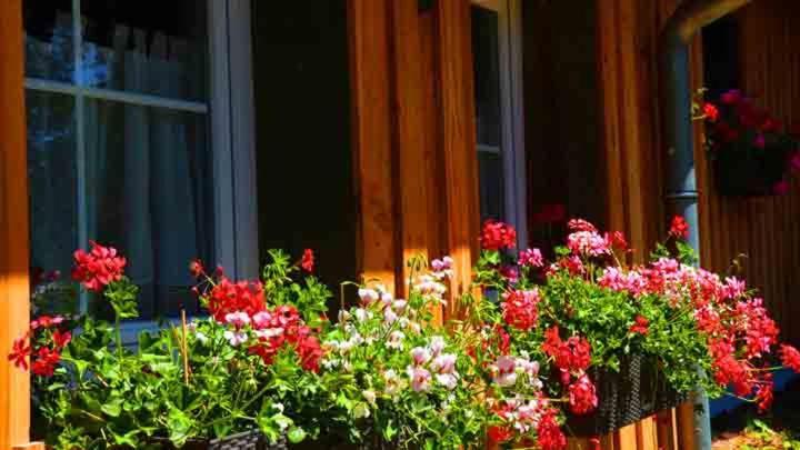 Hof Stallegg Loeffingen Ngoại thất bức ảnh